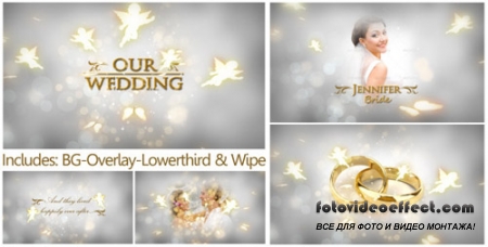 Our Wedding - The Complete Pack - Project for After Effects (Videohive)
