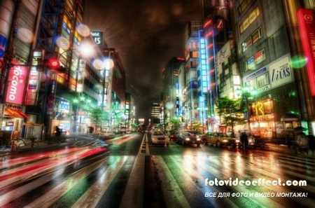 Night City Lights /   ,  ( )