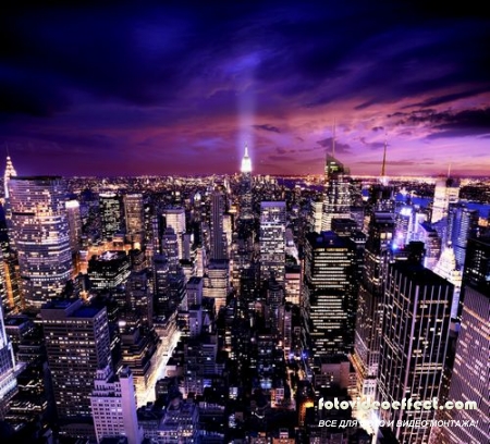 Night City Lights /   ,  ( )