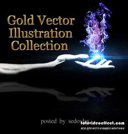 Gold Vector Illustration Collection