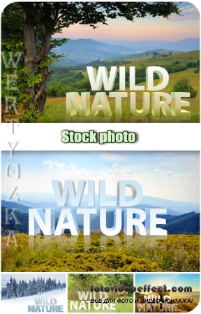  ,  / Wild nature, landscapes - Raster clipart