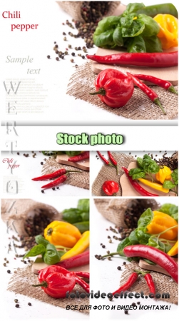     / Sweet and hot peppers - Raster clipart