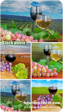     / Glasses of wine and grapes - Raster clipart