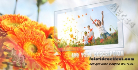 Sunny Flowers - Project for After Effects (Videohive)