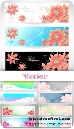     / Banners with delicate flowers - vector clipart