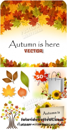  , , ,  / Autumn backgrounds - vector