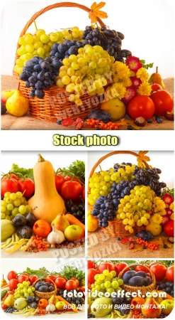 ,      / Autumn composition - Raster clipart