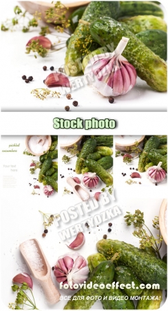  , ,  / Pickled cucumbers, garlic, dill - Raster clipart