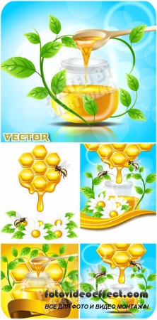,    / Honey, nectar and bee - vector