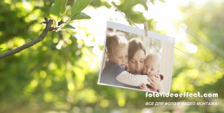 Photo Gallery in a Sunny Orchard - Project for After Effects (Videohive)
