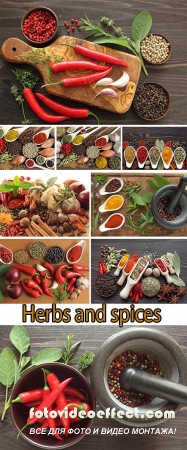 Stock Photo: Herbs and spices 5