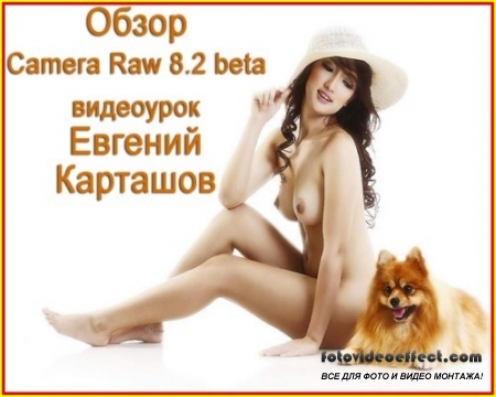   Camera Raw 8.2 beta