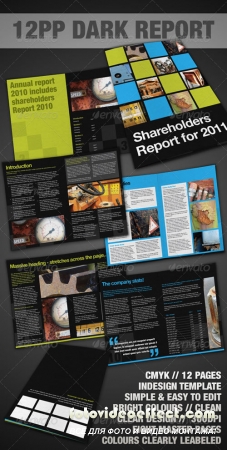 Dark Report / Brochure