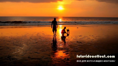Couple playing on beach with dog at sunset in bali - Footage (Shutterstock)
