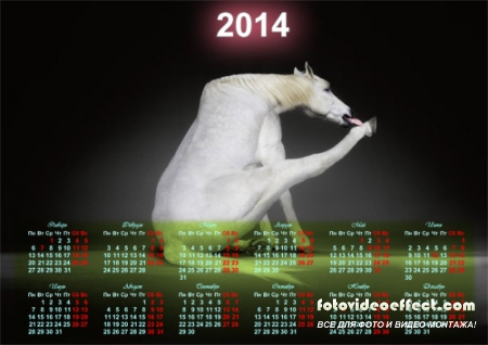  Календарь 2014 - Прикольная белая лошадка 