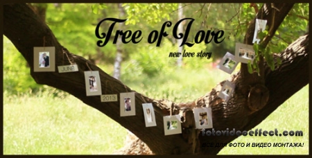 Tree Of Love - Project for After Effects (Videohive)