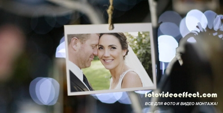 Photo Gallery at a Country Wedding II - Project for After Effects (Videohive)