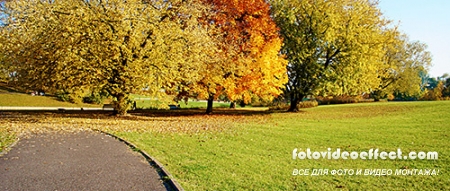 STOCK IMAGES -      / Beautiful girl in autumn park, 2