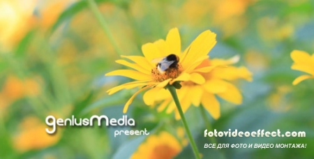 Photo Gallery on a Flower Holiday - Project for After Effects (Videohive)