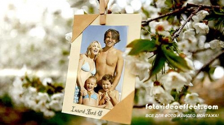 Photos Hanging in an Orchard - Project for After Effects (Videohive)
