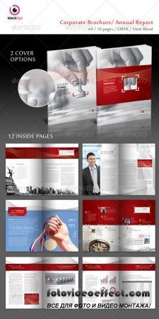 Executive Corporate Brochure