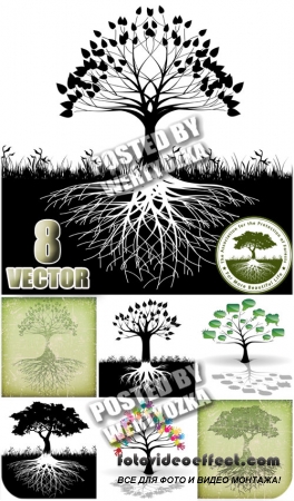   , ,  / Tree with roots - stock vector