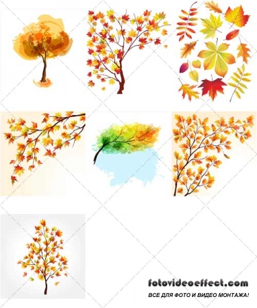      | Leaves and silhouettes of trees in autumn, 