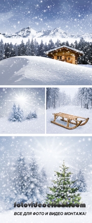 Stock Photo: Christmas tree in forest