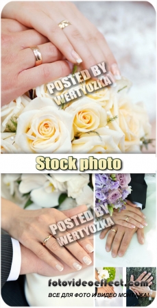 ,     / Wedding, bride and groom hands - stock photos