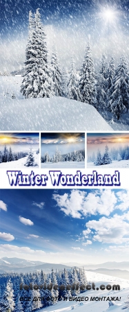 Stock Photo: Winter Wonderland