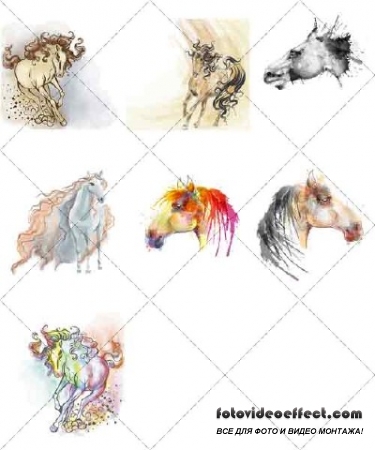     | Beautiful picturesque horse watercolor, 