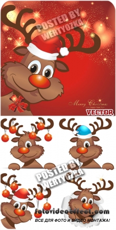     / Christmas reindeer - vector stock