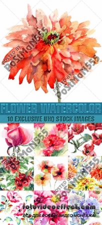       | Beautiful watercolor seamless patterns of flowers,  