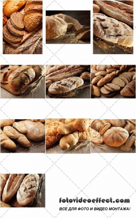   | Fresh bread -  