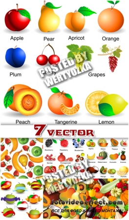   ,  / Fruits and vegetables backgrounds - stock vector