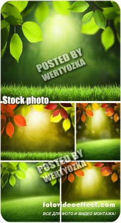      / Backgrounds with leaves and grass - stock photos