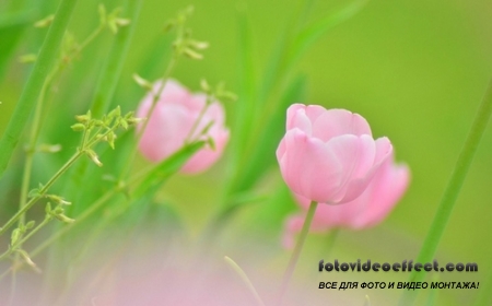 Desktop сборник HD обоев. Часть (793)