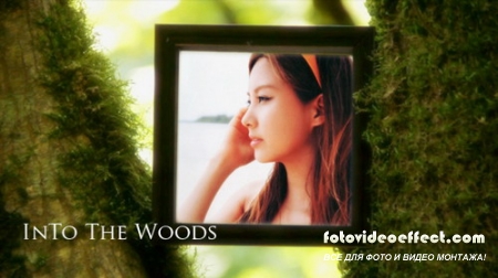 Into The Woods V1.0 - Project for After Effects (Videohive)