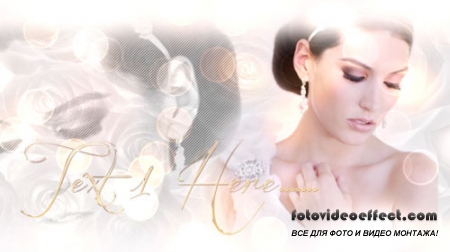Beautiful Bride - Project for After Effects (Videohive)