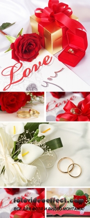 Stock Photo: Wedding rings with red roses