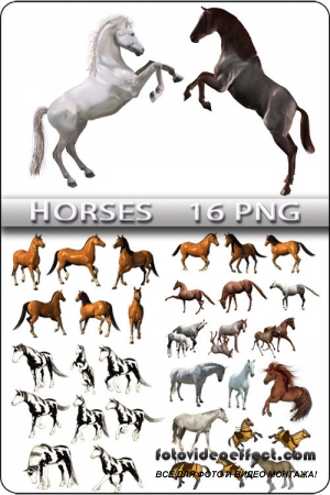  -  / Clipart - Horses