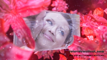 Wedding Fairy - Projects for After Effects (VideoHive)