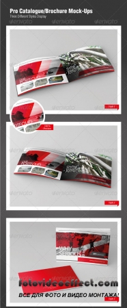 Pro Catalogue/Brochure Mock-Ups