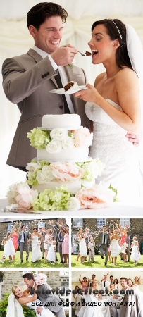 Stock Photo: Guests Throwing Confetti Over Bride