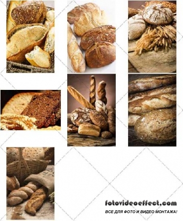   | Fresh bread, 2 -  