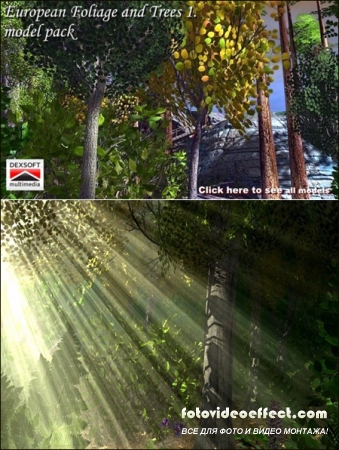 DEXSOFT-GAME European Foliage and Trees 1