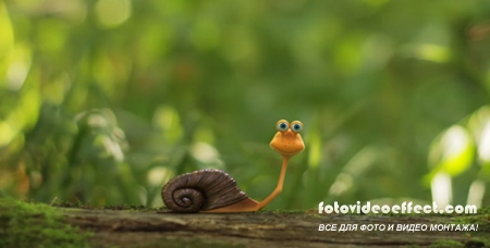 The Snail Logo Opener- Project for After Effects (Videohive)