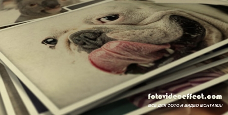 Photo Gallery Smile To Life - Project for After Effects (Videohive)