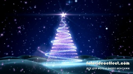   HD / Christmas Tree HD