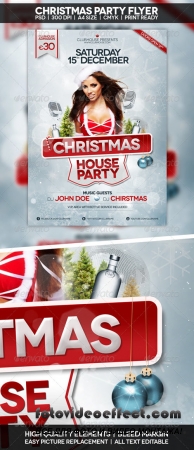 Christmas Flyer | Poster